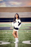 2020 DHS Cheer